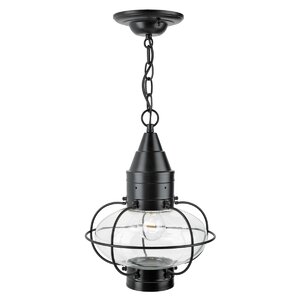 Withyditch 1-Light Outdoor Hanging Lantern