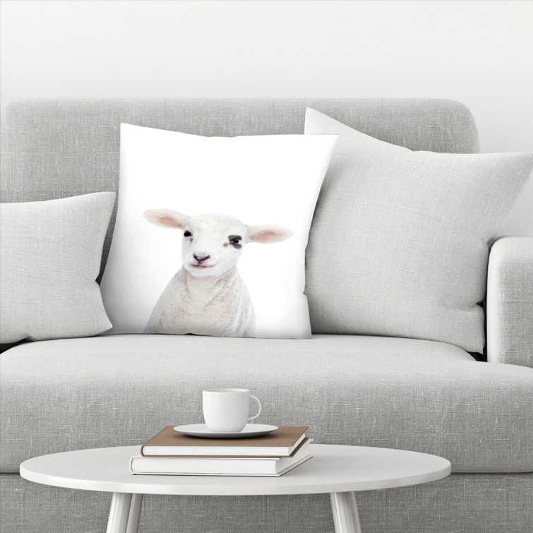 little throw pillows