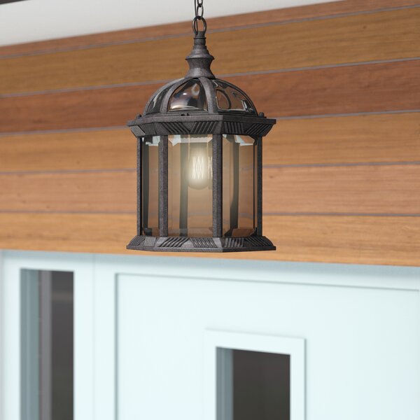 Newbrook 1-Light Outdoor Hanging Lantern by Bay Isle Home