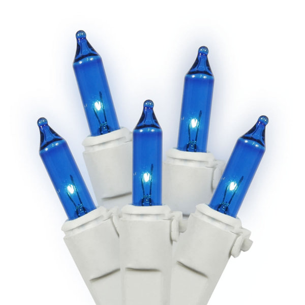 Clear Mini 100 Light String Lights by The Holiday Aisle