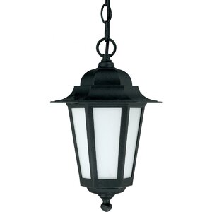 Mayer 1-Light Outdoor Hanging Lantern