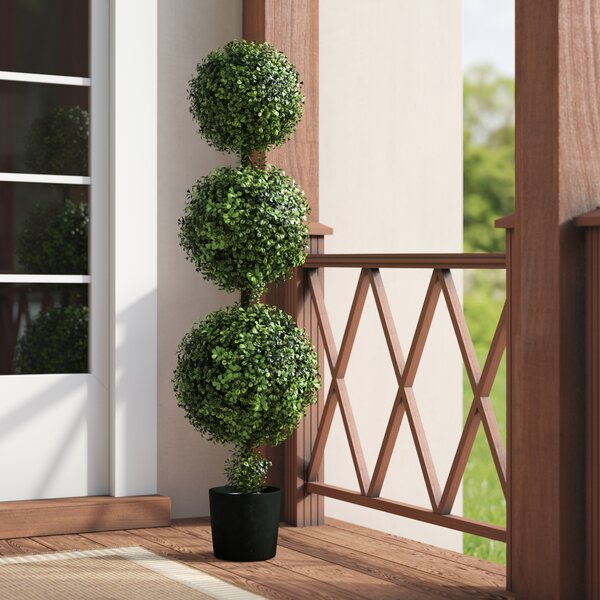 Triple Ball Boxwood Topiary in Planter by Darby Home Co