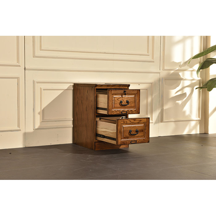 Darby Home Co Sarthak 2 Drawer Vertical Filing Cabinet Wayfair
