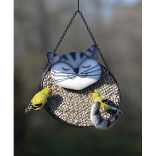 Cat Bird Feeder Wayfair