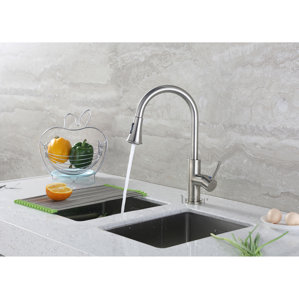 Luxier Single Handle Kitchen Sink Faucet with Pull Down Spray