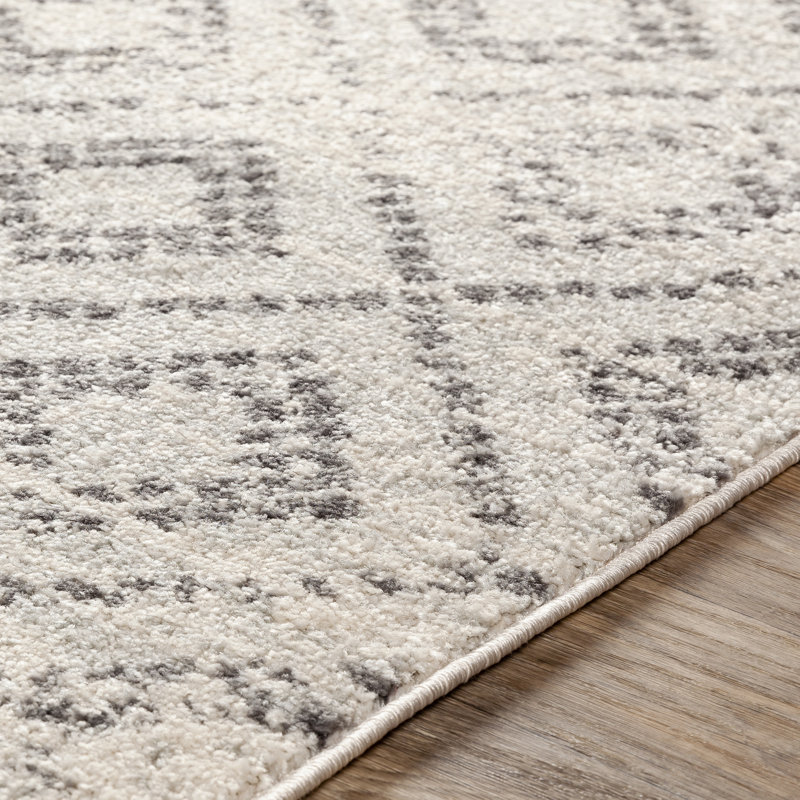 Bungalow Rose Woodrum Southwestern Light Gray White Area Rug Light Gray White Area Rug