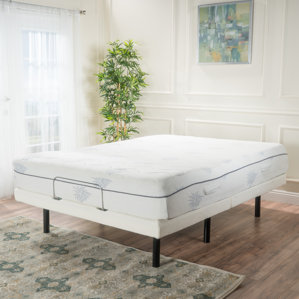 Alwyn Home Adjustable 11