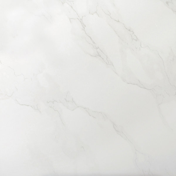 Paladino 24 x 24 Porcelain Field Tile in Albanella by Emser Tile