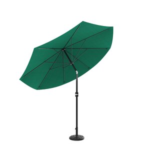 Lime Green Outdoor Umbrella Wayfair