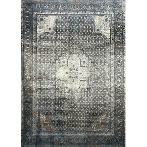 Pascoe Blue/Grey & Silver Area Rug