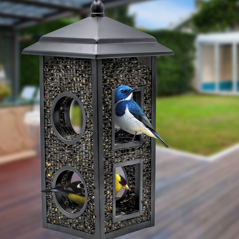 Sorbus Treehouse Tube Bird Feeder Reviews Wayfair