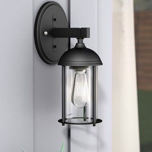 Marshall 1-Light Outdoor Wall Lantern