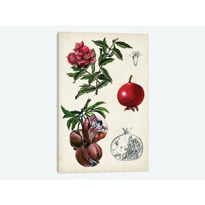 'Pomegranate Composition II' Graphic Art Print on Canvas East Urban Home Size: 18
