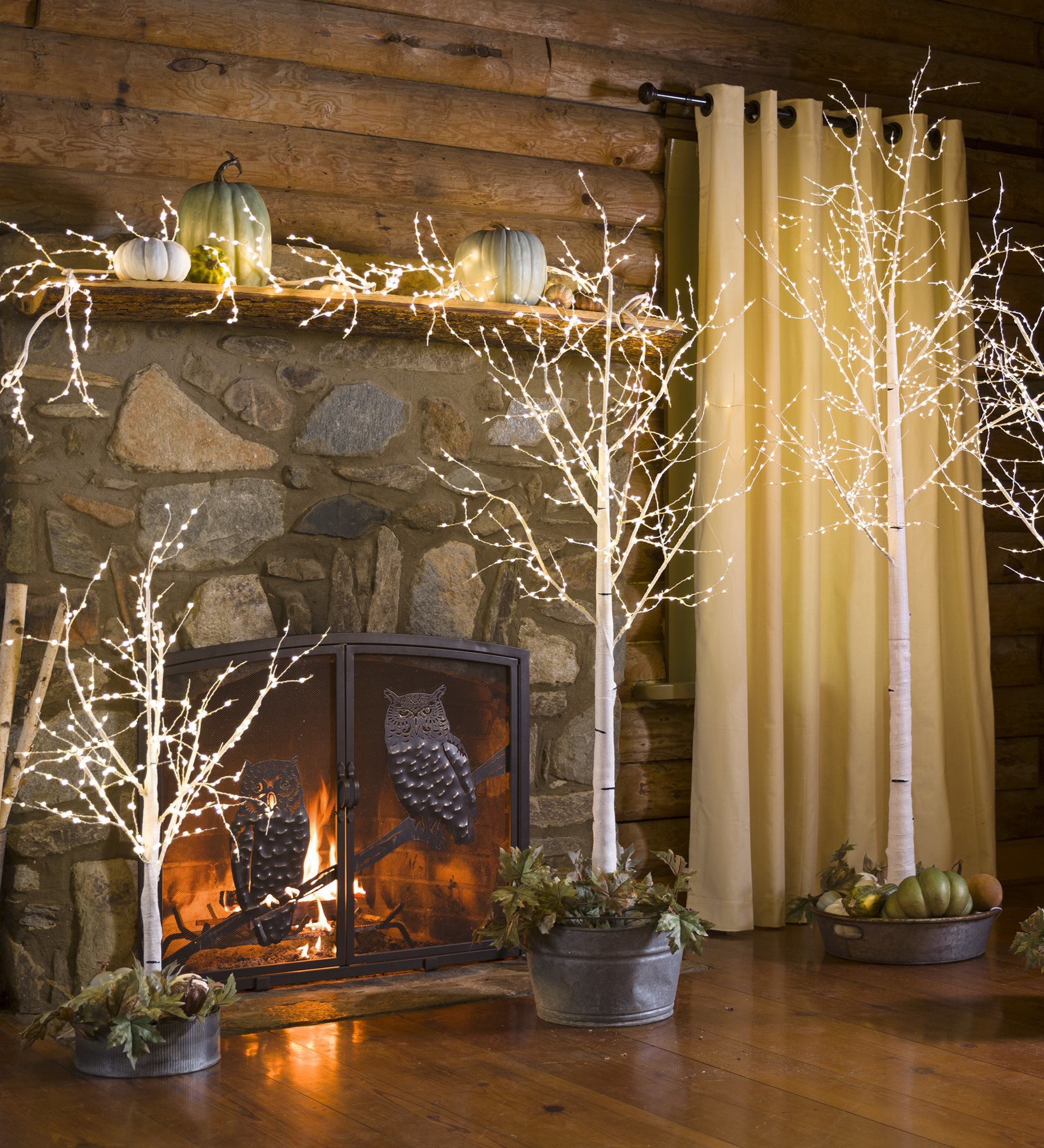 Plow Hearth Birch Tree Reviews Wayfair