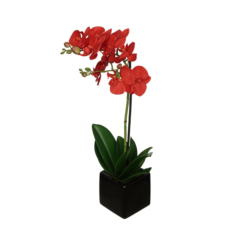 House Of Silk Flowers Artificial Baby Orchids Floral Arrangement In Pot Reviews Wayfair