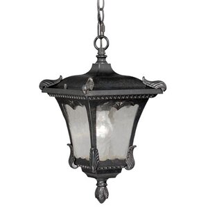 Earl 1-Light Outdoor Hanging Lantern