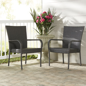 Hawes Outdoor Wicker Patio Chair (Set of 2)