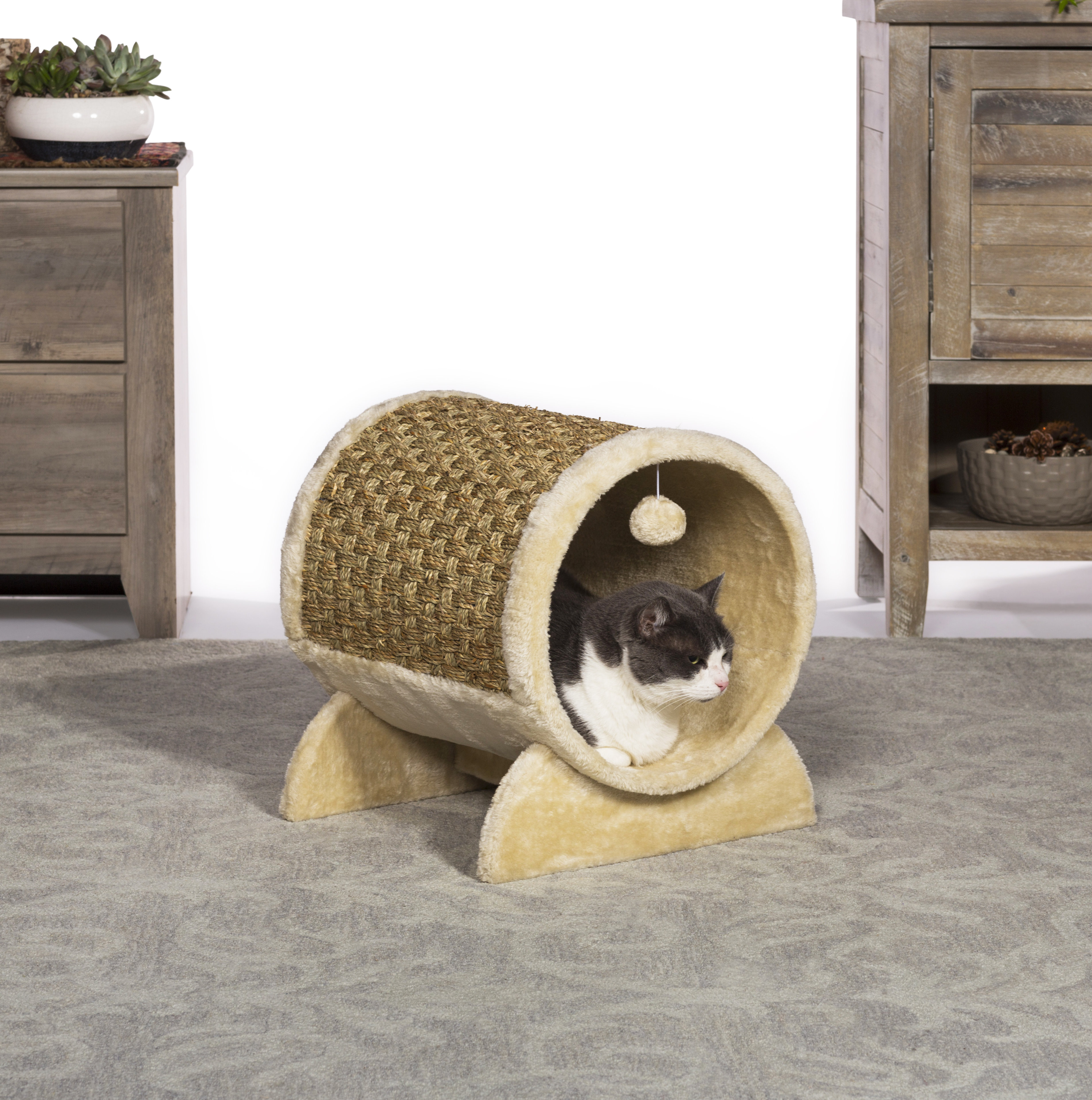 Tucker Murphy Pet 17 Hoban Kitty Power Paws Plush Cozy Tunnel Cat Condo Reviews Wayfair