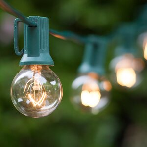 50-Light Globe String Lights