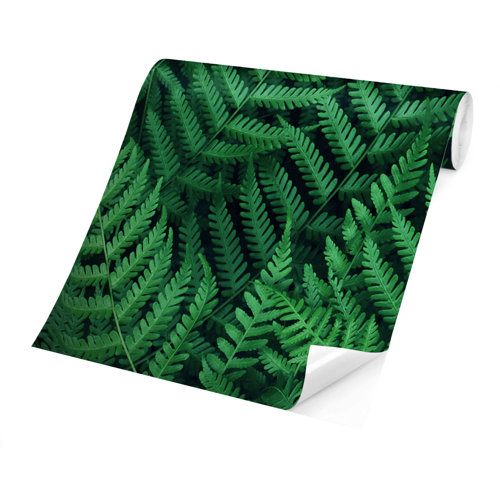 Fern 1.9m x 2.88m Textured Matt Peel & Stick Wall Mural East Urban Home
