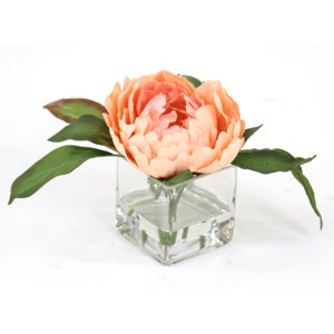 Waterlook Peach Peony in Square Glass Floral Arrangements (Set of 3)