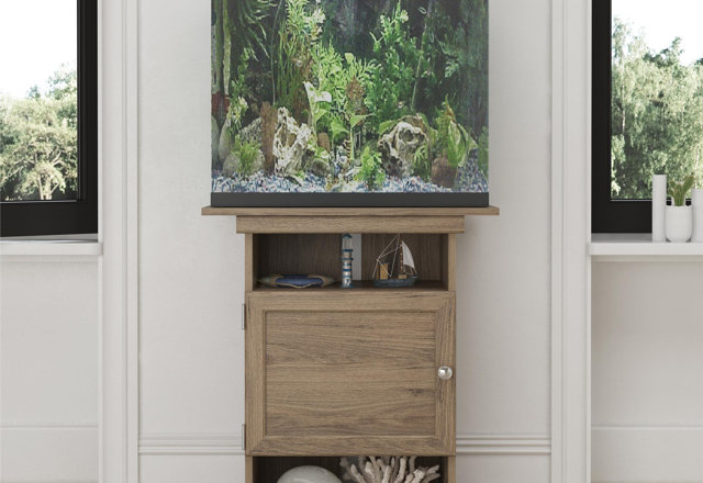 Budget-Friendly Aquariums