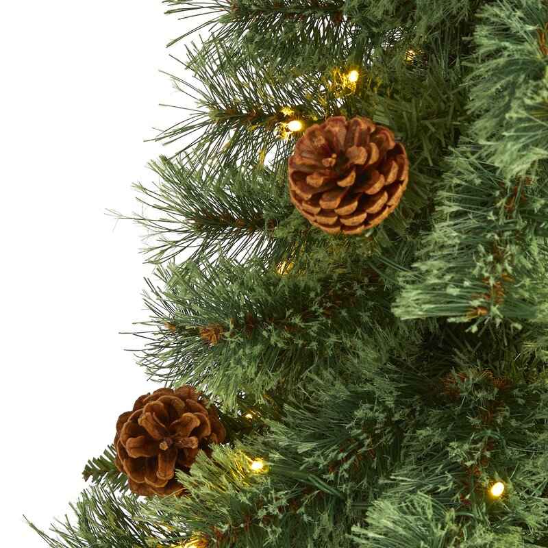 Carolina Pine Full Pre Lit Christmas Tree 2021