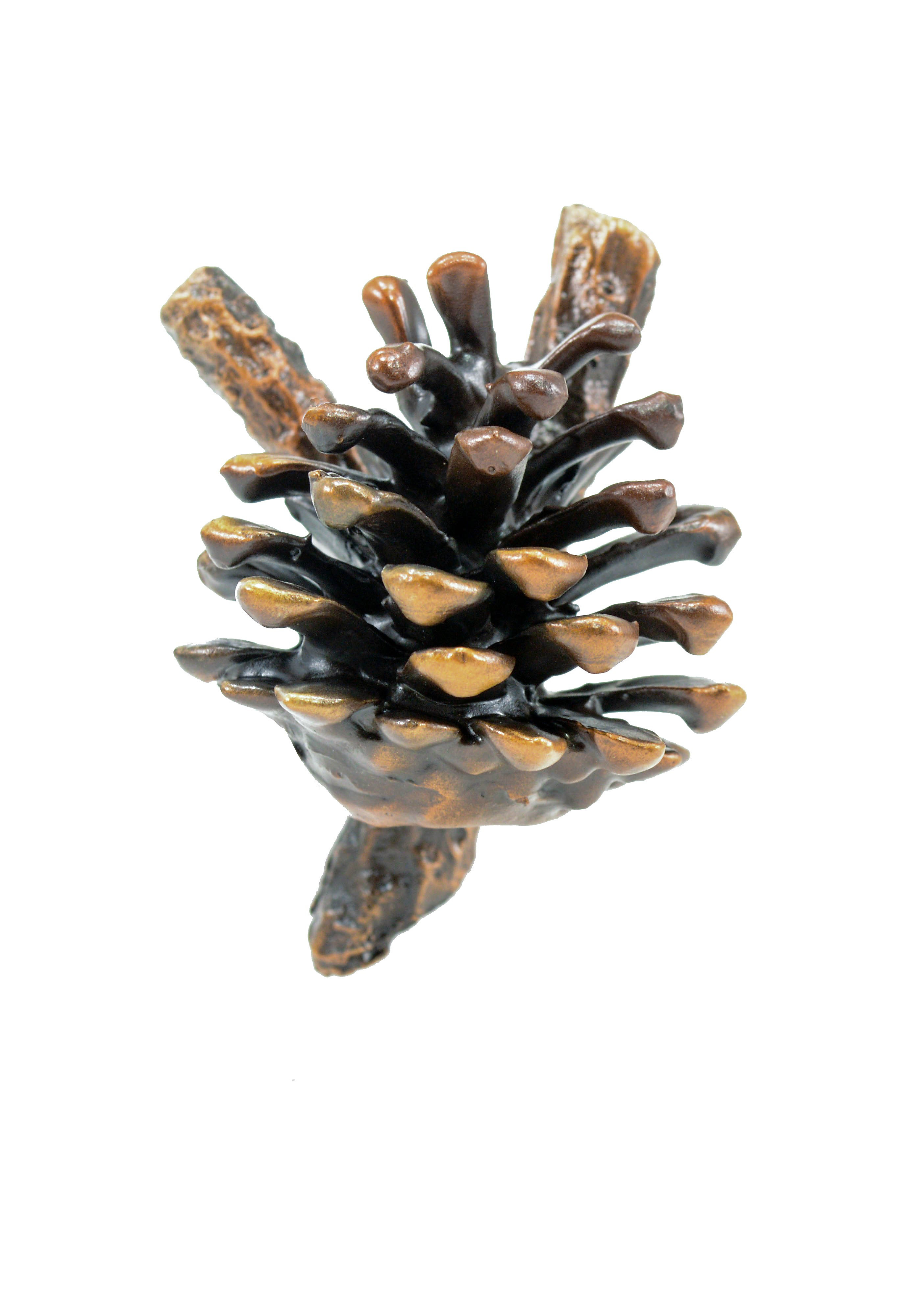 Timberbronze53 Llc Lodgepole Pine Cone Pull Wayfair