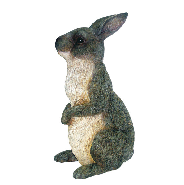 Michael Carr Peter Rabbit Statue & Reviews Wayfair