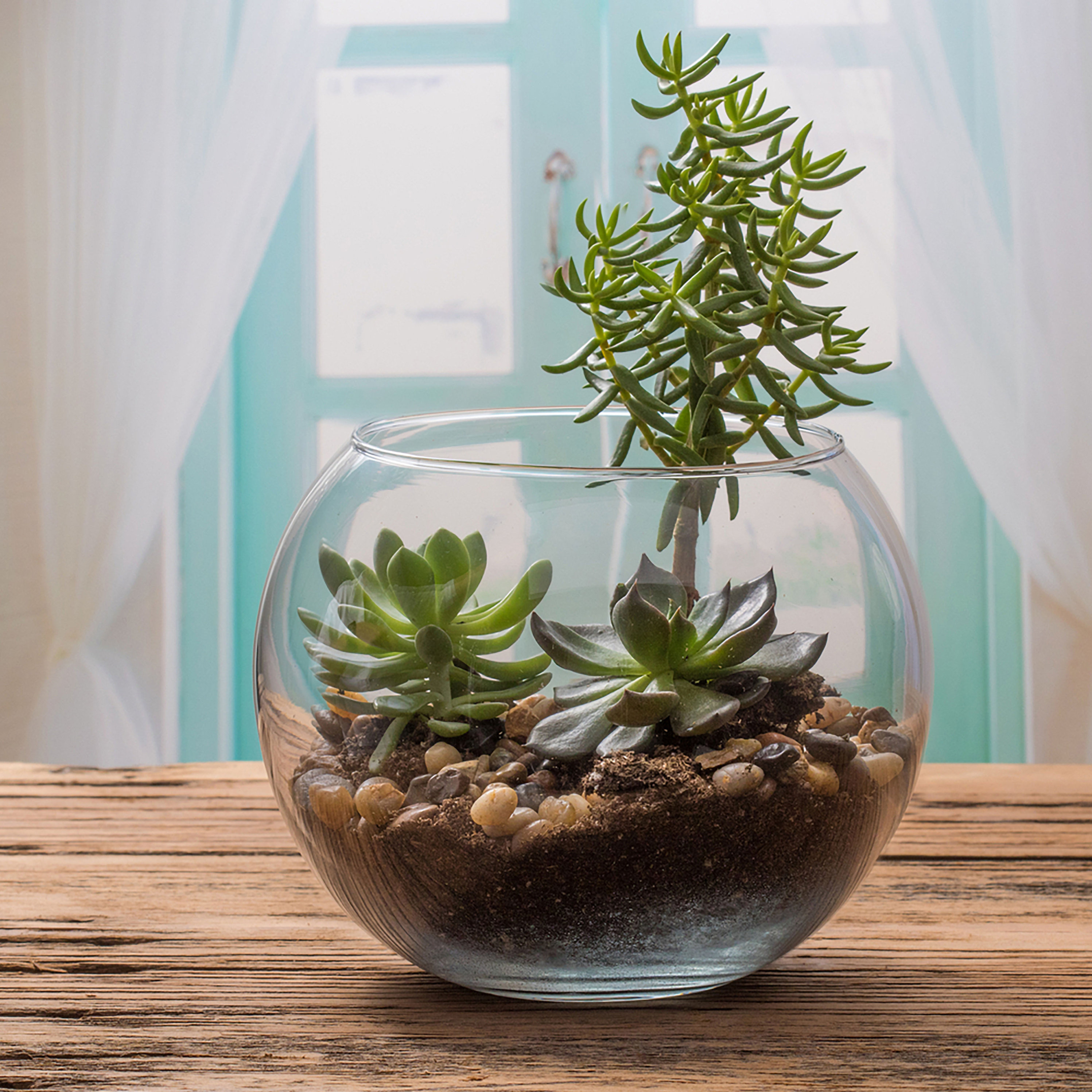 Libbey Bubble Ball Decorative Bowl Wayfair