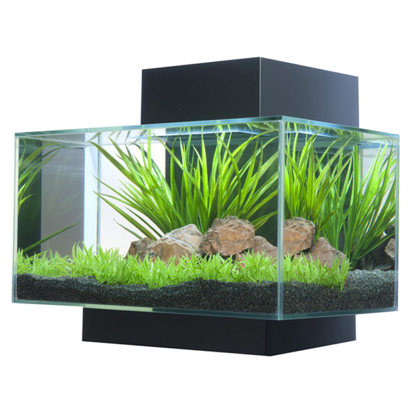 Hank 6 Gallon Edge Aquarium Kit by Archie & Oscar