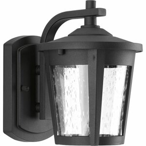Duke 1-Light Outdoor Wall Lantern