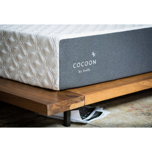 Cocoon by Sealy Classic 10