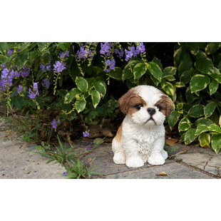 Ebros Large Adorable Shih Tzu Dog Resin Statue Realistic Shih Tzu 10.25/"H