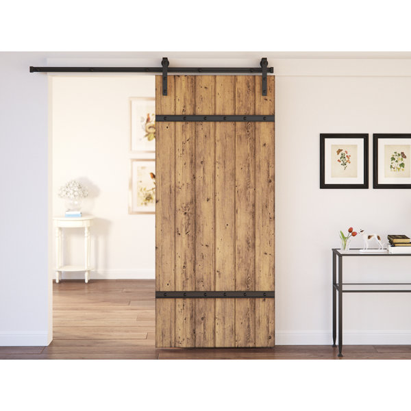 Celeste 1 Panel Interior Barn Door by August Grove