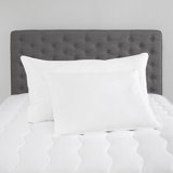 Machine Washable Bed Pillows You Ll Love In 2020 Wayfair
