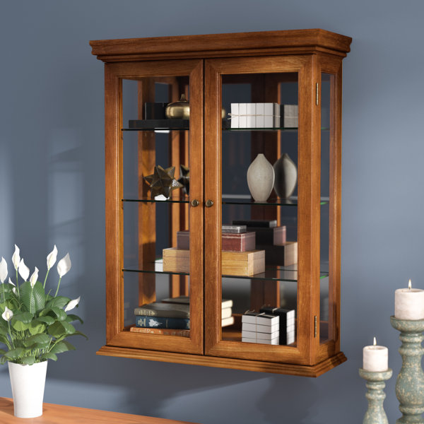 Cassette Wall-Mounted Curio Cabinet By Charlton Home Looking for