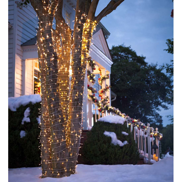 LED String Light with Auto-Timer by Plow & Hearth