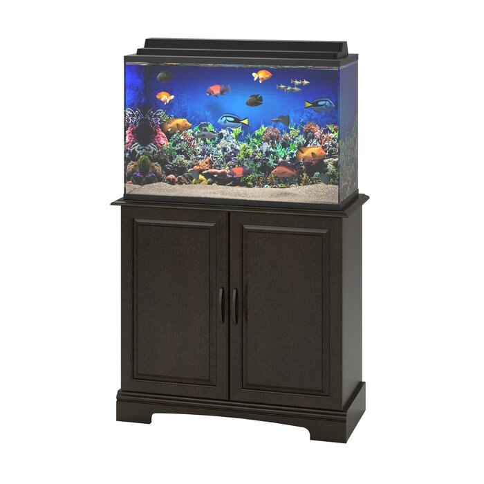 Archie & Oscar Deirdre 37 Gallon Aquarium Stand & Reviews | Wayfair.ca