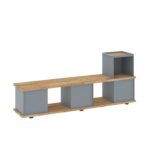 Chon Wood and Metal Storage Bench Brayden Studio Colour: Grey/Brown
