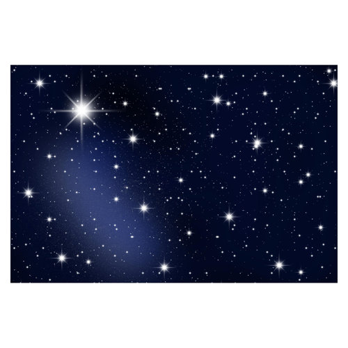 Stars 3.2m x 4.8m Textured Matte Peel & Stick Wall Mural East Urban Home