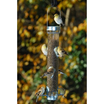 Pole Mounted Bird Feeders You'll Love in 2020 | Wayfair