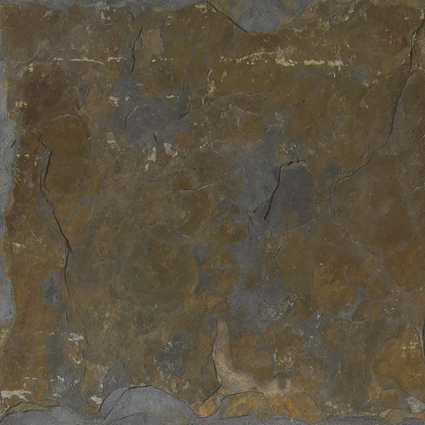 California 24'' x 24'' Slate Field Tile in Multi by MSI