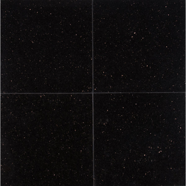Galaxy 12 x 12 Granite Field Tile in Black by MSI
