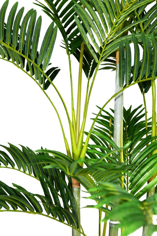 Laura Ashley Home Tall Palm Tree in Planter & Reviews | Wayfair