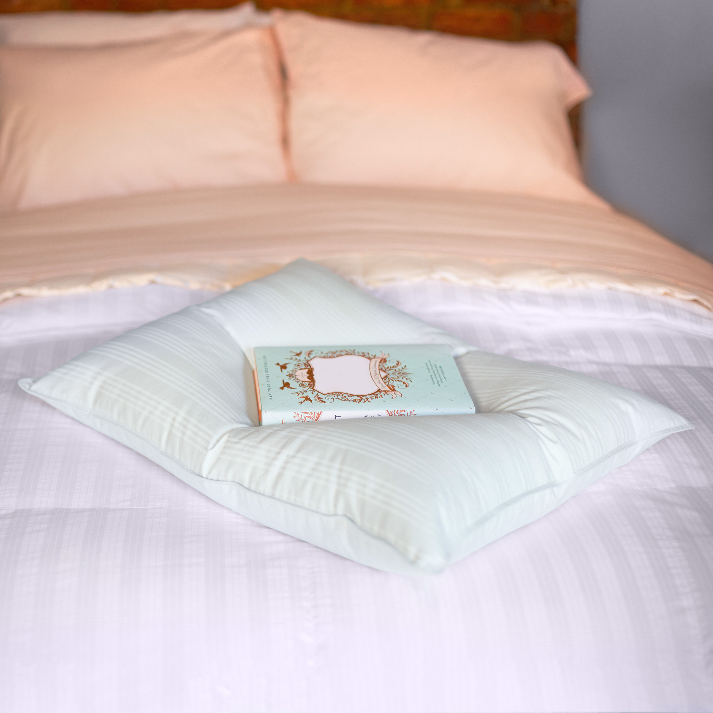 Alwyn Home Walters Extra Soft Plush Down Bed Pillow Reviews