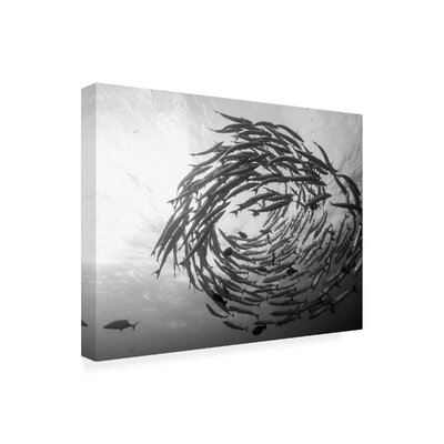 Yumian Deng 'Barracuda Tornado' Canvas Art Highland Dunes Size: 35