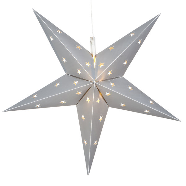 LED 12 Light Indoor/Outdoor Star Lighting by The Holiday Aisle