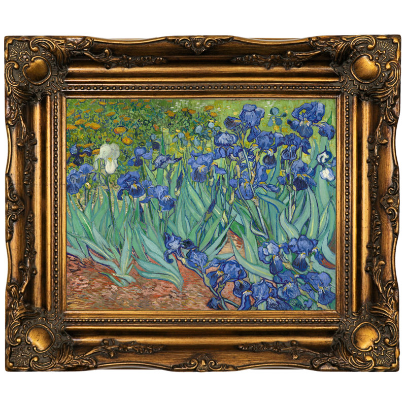 Irises by Vincent van Gogh Giclee Canvas Print Reproduction