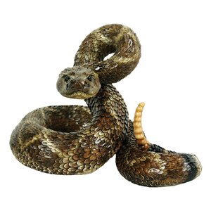 Western Diamond Back Coiled Snake Statue